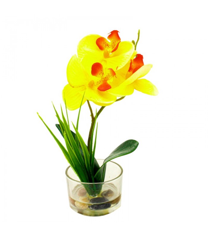 Orquidea Colorida Flor En Pote Pequeño Para Decoracion De Interiores