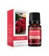 Esencia Aceite Aromatizante 10ml
