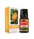 Esencia Aceite Aromatizante 10ml