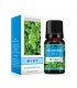 Esencia Aceite Aromatizante 10ml