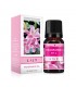 Esencia Aceite Aromatizante 10ml