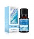 Esencia Aceite Aromatizante 10ml
