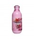 Spray Fijador de Aloe Vera Miss Rose 100ML